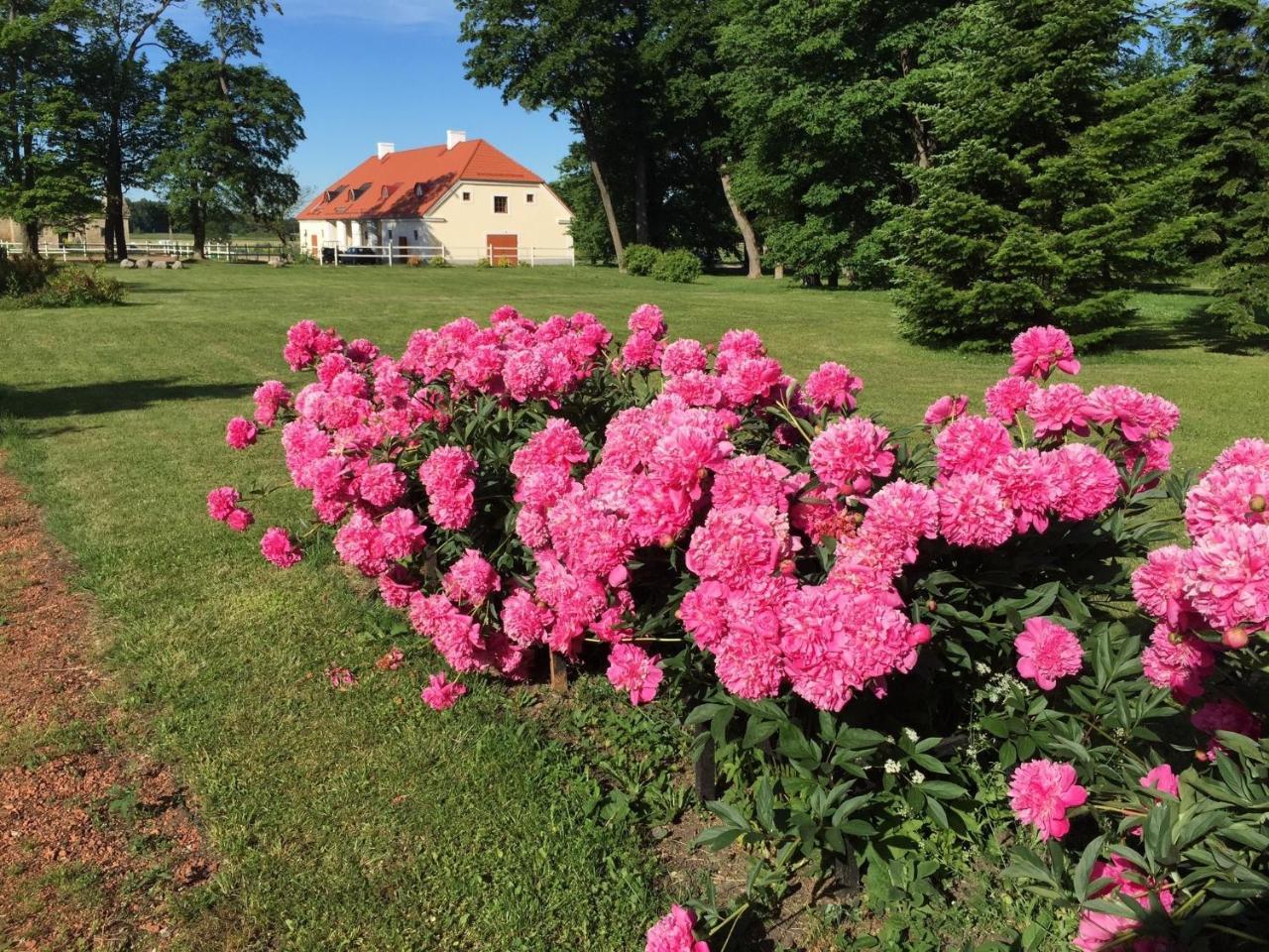 Ontika Boutique Guesthouse Kültér fotó